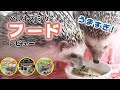 ハリネズミのフード「ハーリーの主食」「グロース」「ハーリーのミルク」を全部使ってみました！