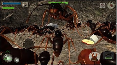 Ant Simulation 3D   Insect Survival Game Android Gameplay