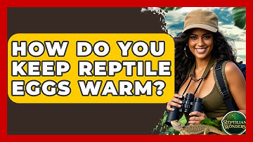 How Do You Keep Reptile Eggs Warm? - Reptilian Wonders