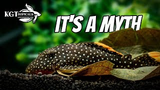 Top 10 Fish Keeping Myths, These Are Lies That Many People Believe
