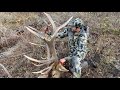 Public Land GIANT!!! Idaho Elk Hunt - Stuck N the Rut 144