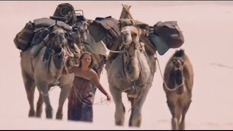 『奇跡の2000マイル』 予告編