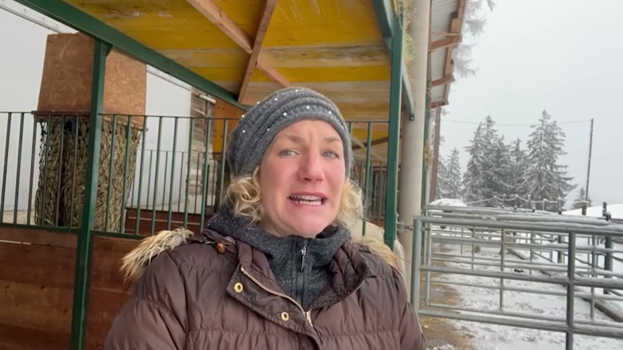 Online Event: Freies Reiten