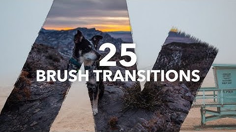 Brush Transitions Pack Stock Motion Graphics
