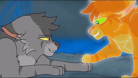 End Of Graystripe