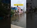5 December 2023 - Water Logging
