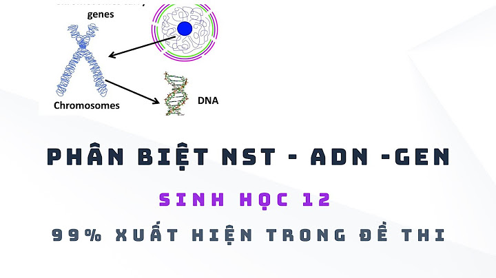 So sánh nhiễm sắc thể thường và nhiễm sắc thể năm 2024