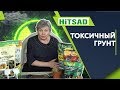 ТОКСИЧНЫЙ ГРУНТ ДЛЯ РАССАДЫ ☢️ Проверка торфяных грунтов