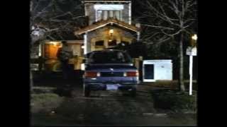 THS STRANGER - Bonnie Bedelia (1987)