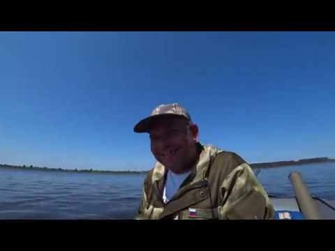 Чехонь на поплавок Кама