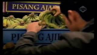 Download lagu LA Lights - Awas Ketipu, Pilih Yang Berisi