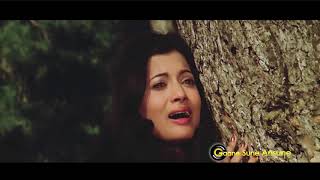 Love Story 1981 | Full Video Songs Jukebox | Kumar Gaurav, Vijeyta Pandit, Rajendra Kumar