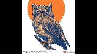 THE OWL AMAPIANO REMIX by DJ MIXER MUSIC FT Killorbeezbeatz