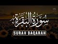 Surah Al-Baqarah 📖 | Powerful Quran Recitation for Protection, Barakah & Peace