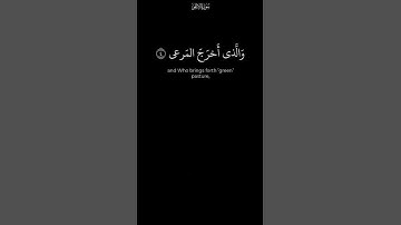 #ياسر #الدوسري | سَبِّحِ اسْمَ رَبِّكَ الْأَعْلَى  | 💕 سورة  #الأعلى #dossary