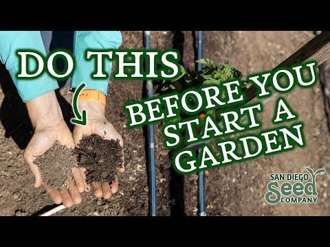 Video: 3 Ways to Create a Garden