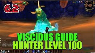 WoW Viscidus Solo Guide - Hunter Level 100 (How to Kill)