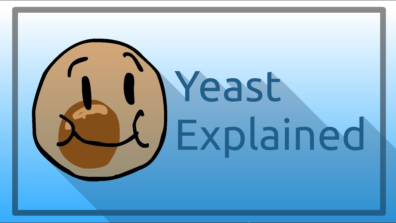 Yeast Explained