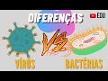 Qual a Diferença entre Vírus e Bactérias? | Animação