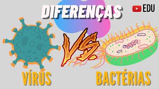 Qual a Diferença entre Vírus e Bactérias? | Animação