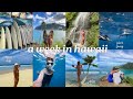 hawaii spring break vlog: shark diving, hikes, &amp; new friends