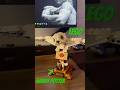 REVIEW E MONTAGEM LEGO
