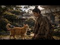 ニャン太郎&チンパン太郎　テーマソング編ＭＶ3　竹千代編　　2026年5月16日