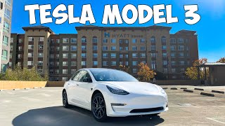 Tesla Model 3 Review: The Honest TRUTH After 1 Year