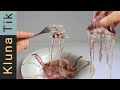 Eating RAW Jellyfish!!! |  Slimy, Chewy, Squishy, Living, Mukbang video | ASMR eating sounds No talk