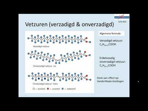 10-4 Vetten  -  deel 1  - Vetzuren & Glycerol