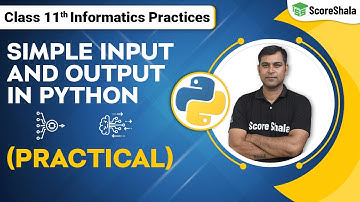 Class 11 Informatics Practices Chapter 3 | Input & Output in Python-practical (Code 065)