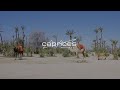 Caprices Festival MOROCCO (Marrakech) 2023 - Official Aftermovie