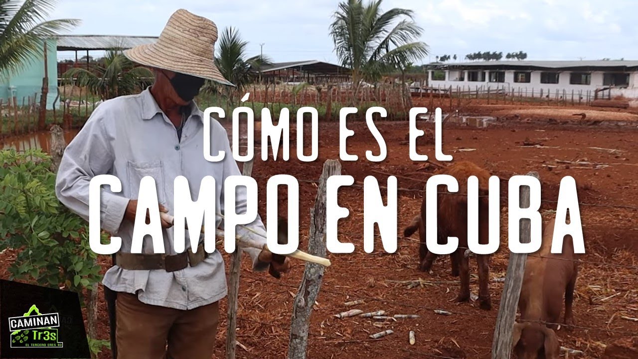los campesinos de Cuba y su supervivencia