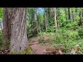 Priest Point (Squaxin) Olympia City Park Wrong Trail Oct 2025, 1080, 30