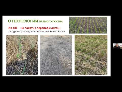 No-till - технология