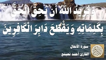 008 أحمد نعينع - سورة الأنفال