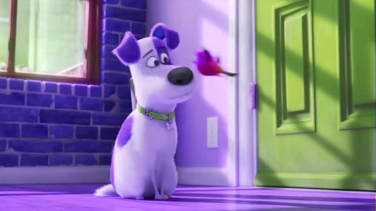 “Mel & Sweet Pea Say Hello to Max! 🐶🐦💛 / Retro Toon Clips