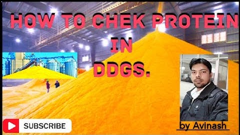 How to test protein in DDGS# DDGS#by the biotech