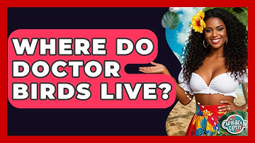 Where Do Doctor Birds Live? - The Caribbean Expert
