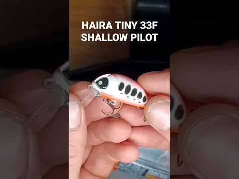 Loving this lure!