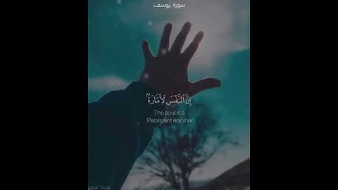 سورة يوسف - تلاوة عطره  القرآن الكريم صوت جميل - حالات دينيه جميله