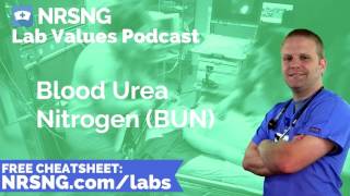 Blood Urea Nitrogen BUN Nursing Considerations, Normal Range, Nursing Care, Lab Values Nursing