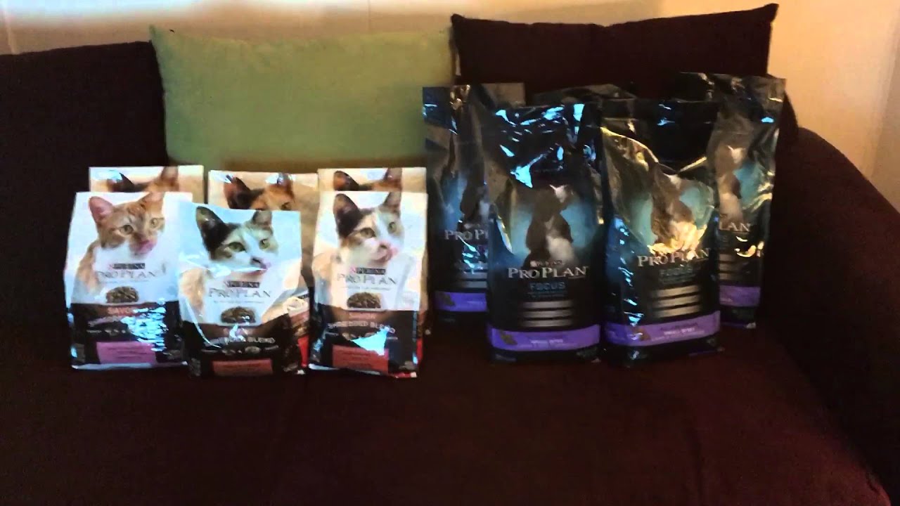 FREE DOG FOOD AND FREE CAT FOOD AT PETSMART IF YOU PRICE MATCH PETCO!! RUN RUN YouTube