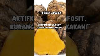 5 Obat Herbal Ampuh Atasi Pembengkakan Kelenjar Getah Bening  short
