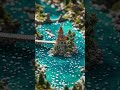 Dark Lo-Fi No.19 for FREE | #Shorts #Music #Lofi