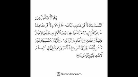 القارئ سعد الغامدي - سورة الأنعام - الآية 99