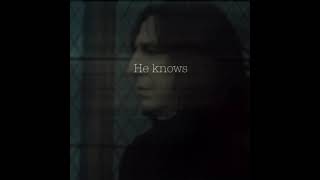 Severus Snape Voldemort Harry Potter Edit Alan Rickman She Knows And I Know She Knows