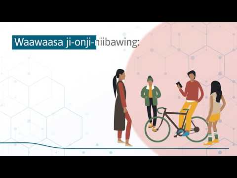 Waawaasa Ji Onji Niibawiying Ji Gibitinigaadeg GOOBID 19 Aakoziwin Anishinaabe Dazhiikewining