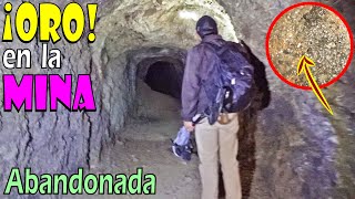 ¡Encuentro ¡ORO! en MINAS ABANDONADAS de México! Especial Vlad DetectoRex