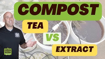 Compost Extract vs Compost Tea: What